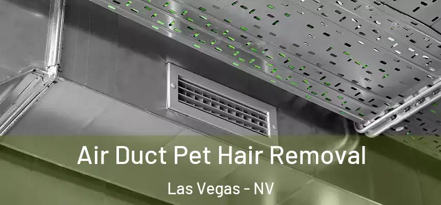  Air Duct Pet Hair Removal Las Vegas - NV