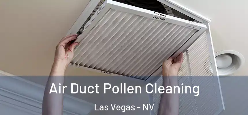  Air Duct Pollen Cleaning Las Vegas - NV