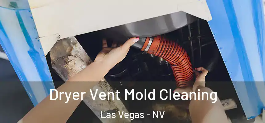 Dryer Vent Mold Cleaning Las Vegas - NV