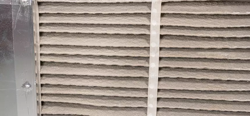 Mobile Car AC Filter Replacement in Las Vegas