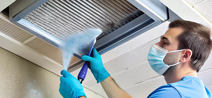 Proactive Dryer Vent & Auxiliary Duct Pollen Cleanup in Las Vegas, NV