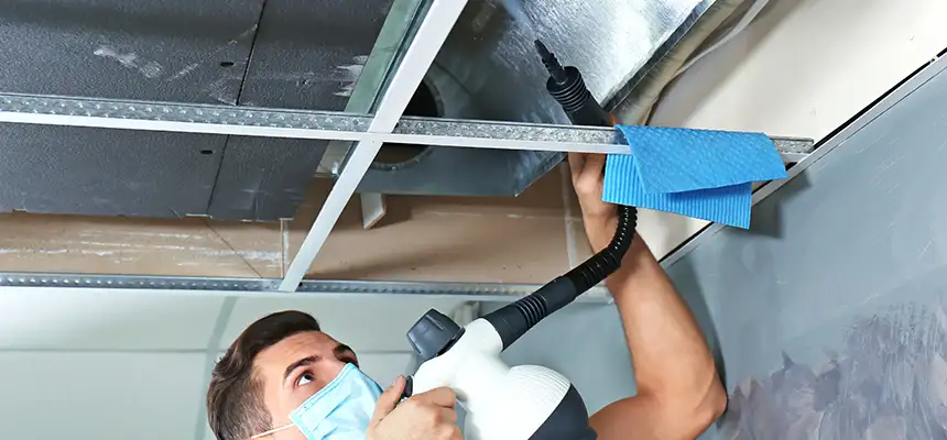 Our Air Duct Rodent Removal Services in Las Vegas, NV