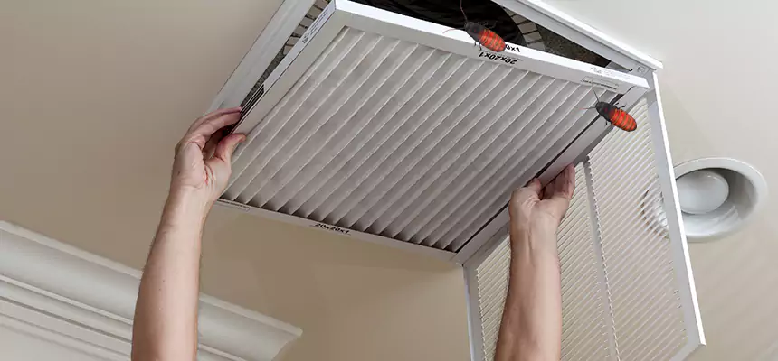 Our Insect Removal from Air Ducts Services in Las Vegas, NV