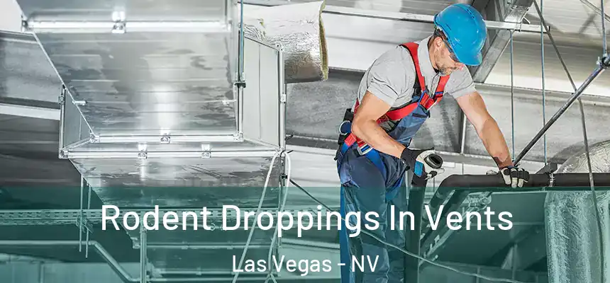  Rodent Droppings In Vents Las Vegas - NV