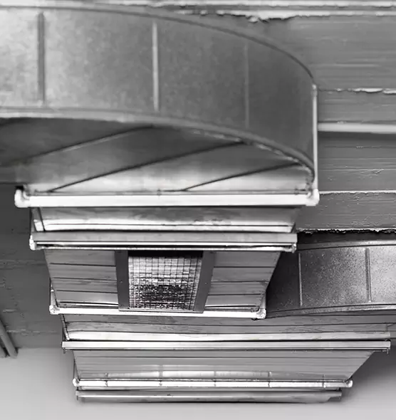 Professional Air Duct Pet Hair Removal in Las Vegas, NV