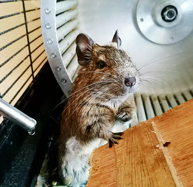 Why Homeowners & Businesses Trust Us Las Vegas, NV