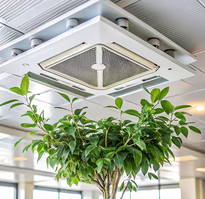 Why Homeowners & Businesses Trust Us in Las Vegas, NV