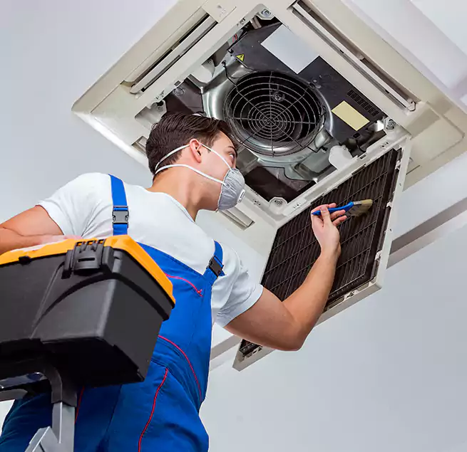 Why Homeowners & Businesses Trust Us in Las Vegas, NV?