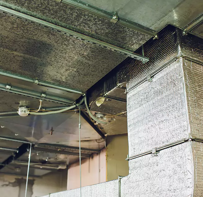 Why Homeowners & Businesses Trust Us in Las Vegas, NV?