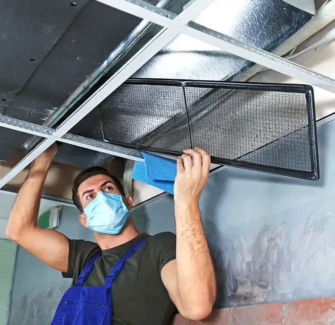 Why Homeowners & Businesses Trust Us in Las Vegas, NV?